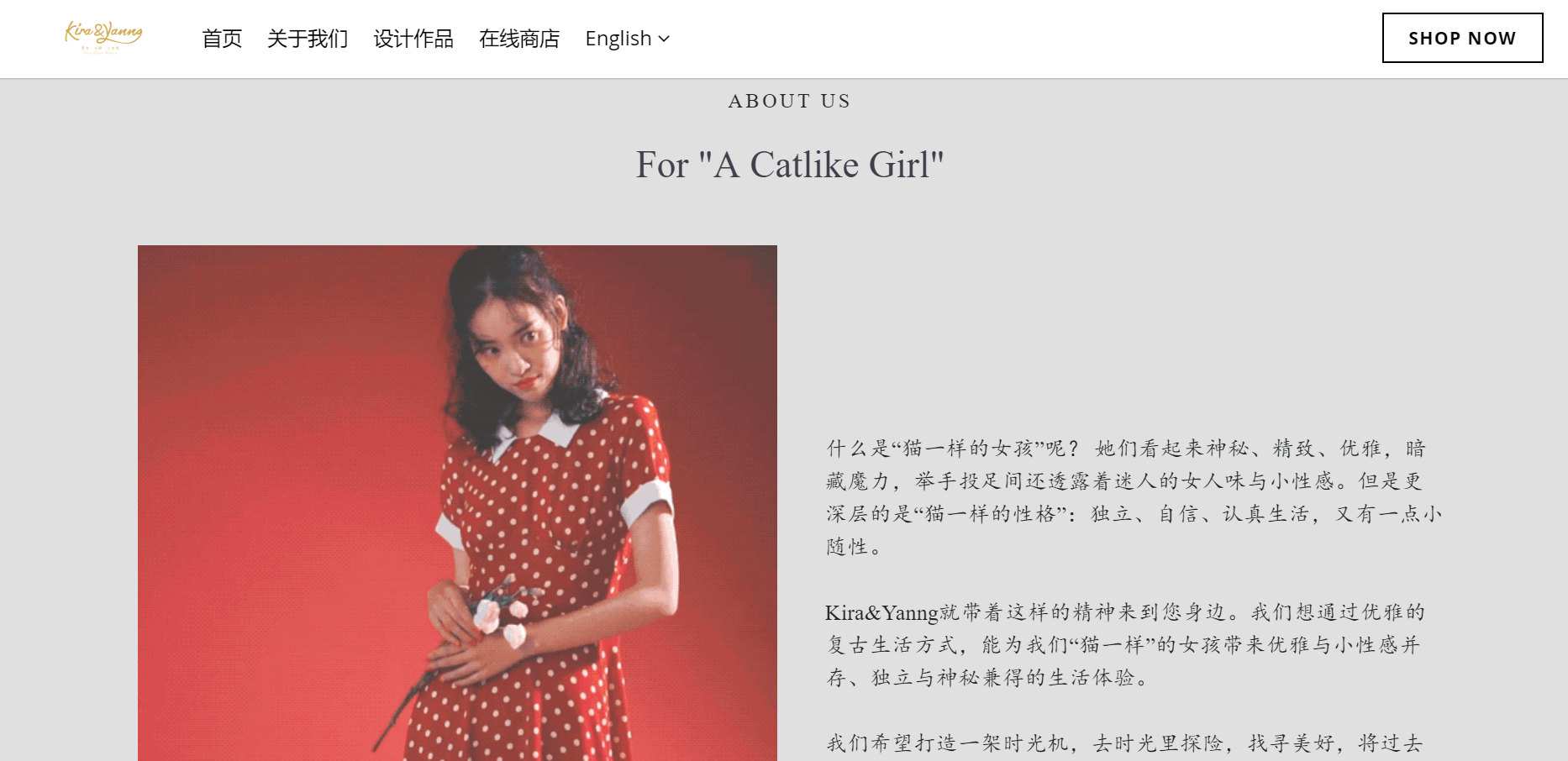 上线了案例 上线了女装网站